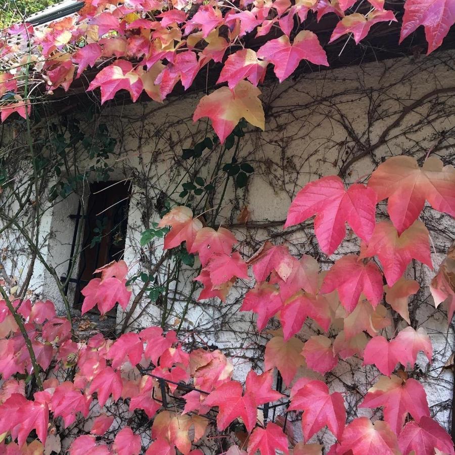 Un Coin De Foret Courmas Εξωτερικό φωτογραφία